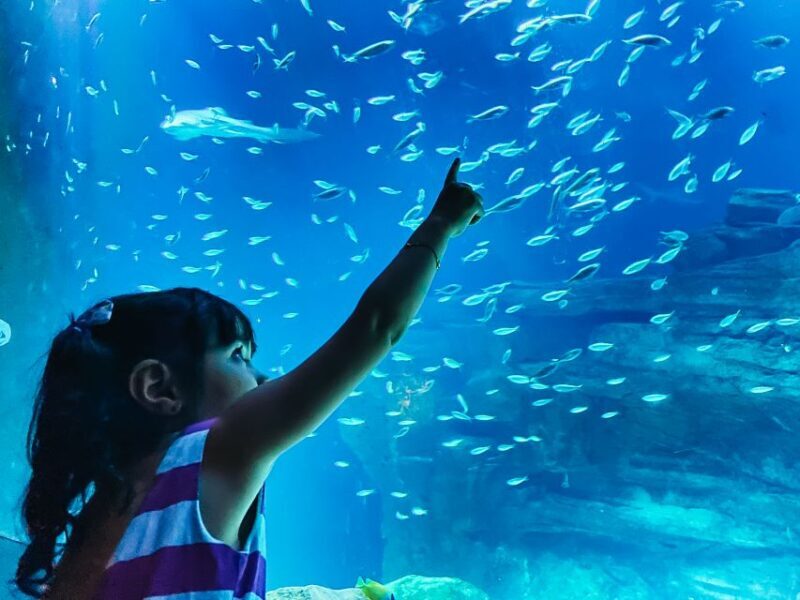 Paris: Aquarium de Paris Entrance Ticket - Key Points