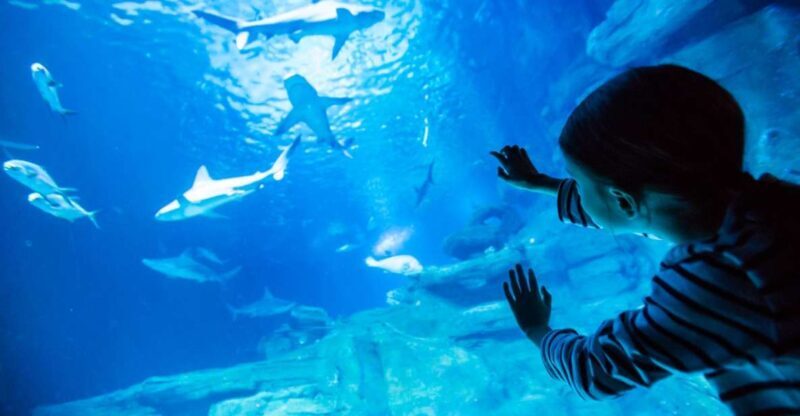 Paris: Aquarium de Paris Entrance Ticket - The Experience at a Glance