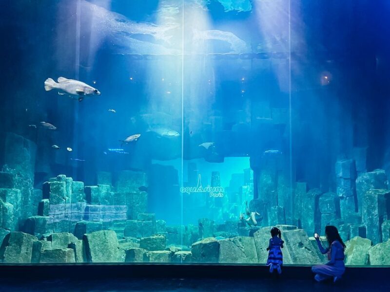 Paris: Aquarium de Paris Entrance Ticket - Live Shows and Workshops: Interactive Fun for All
