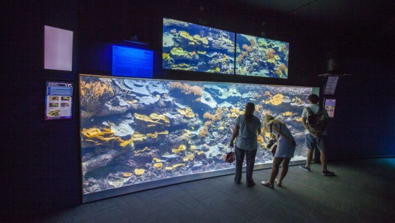 Paris: Aquarium de Paris Entrance Ticket - What Travelers Say: Authentic Feedback