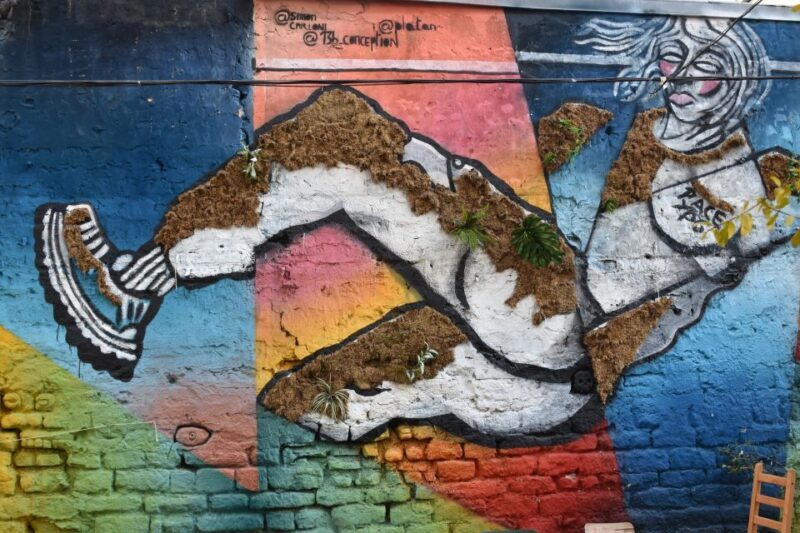 Paris: Belleville Street Art Tour with an Artist - Why This Tour Stands Out