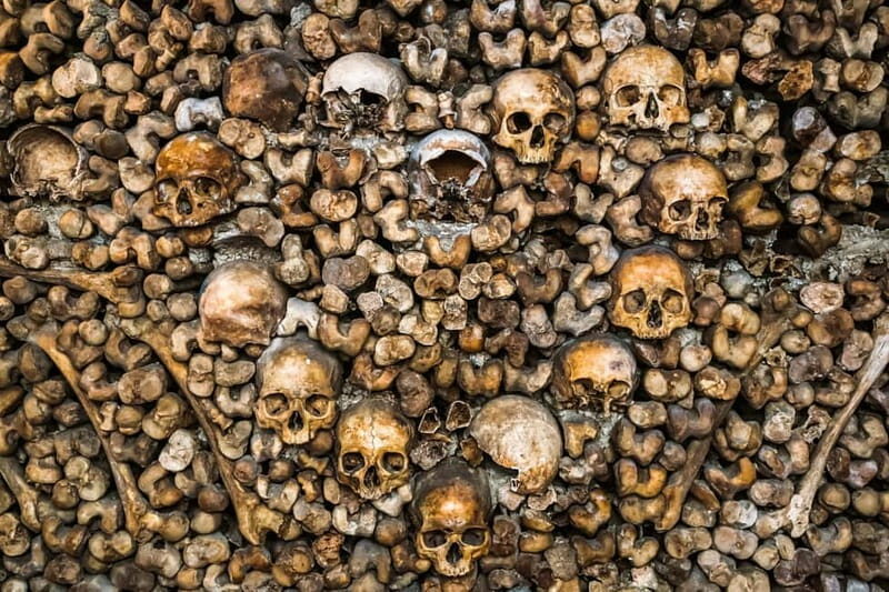 Paris: Catacombs Guided Tour - Navigating the Experience