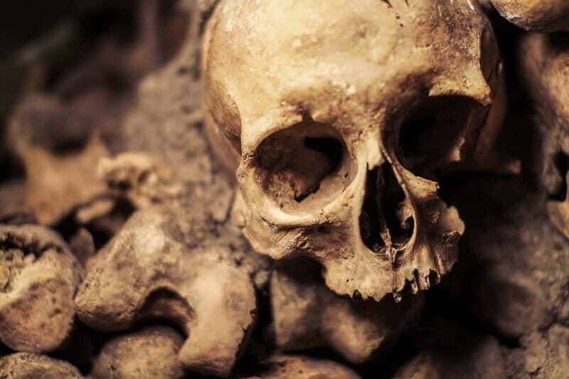 Paris: Catacombs Special Access Tour - The Real Value: Is It Worth the Price?