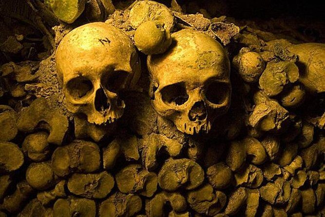 Paris Catacombs Tour with VIP Access to Restricted Areas - Final Thoughts: Who Will Love This Tour?