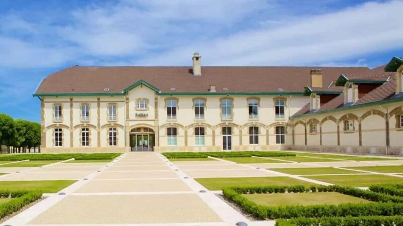 Paris: Champagne Region & Reims Private Day Trip - Key Points