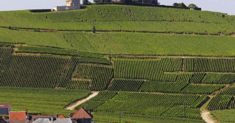 Paris: Champagne Region & Reims Private Day Trip - An In-Depth Look at the Experience