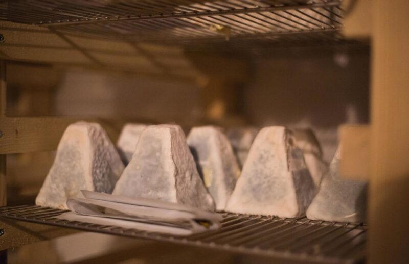 Paris: Cheese and Wine Tasting - Learning and Interaction