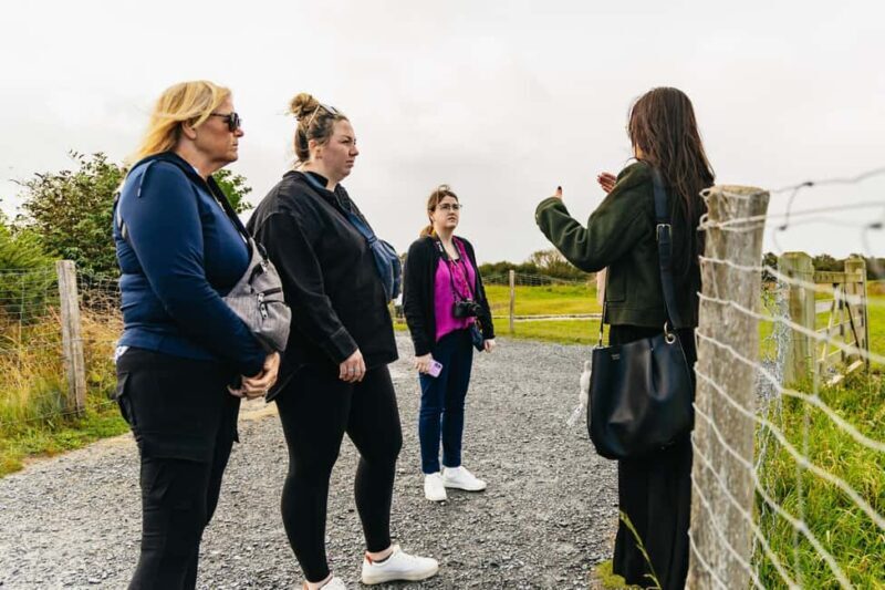 Paris: D-Day Landmarks and Mont Saint-Michel Guided Tour - The Long but Rewarding Return Journey