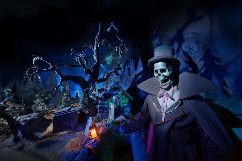 Paris: Disneyland Paris Ticket with Transfer - FAQ