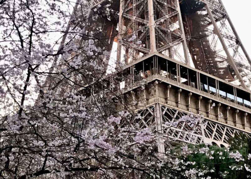 Paris: Eiffel Tower Guided Tour with Summit Access - The Sum Up