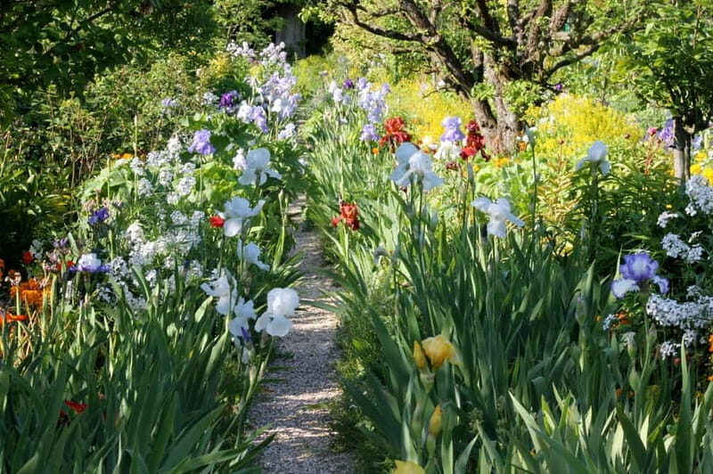 Paris: Giverny Gardens Day Trip with Professional Tour Guide - Walking Through Monet’s House & Gardens