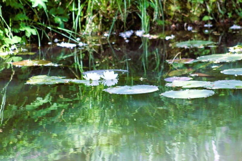 Paris: Giverny Gardens Day Trip with Professional Tour Guide - Final Thoughts