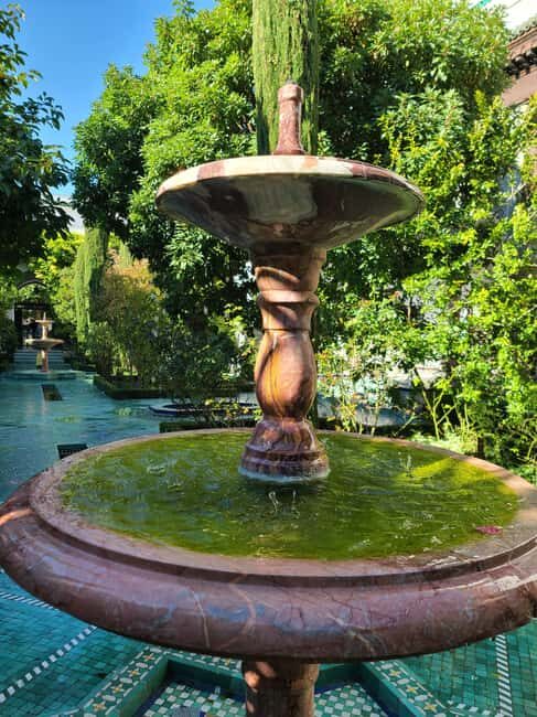 Paris: Guided Tour of the Grand Mosque & Secret Gardens - What to Expect from the Tour