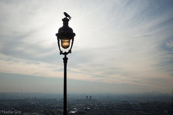 Paris Half Day Private Customized Walking Tour, Transport Options - What You Can Expect from This Tour