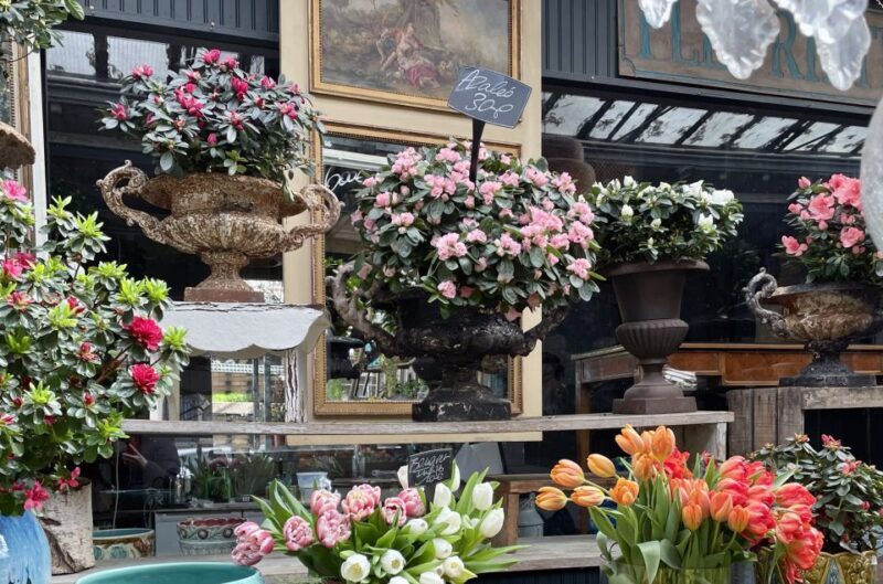 Paris: Ile De La Cité Walking Tour and Paris' Birthplace - Who Is This Tour Best Suited For?