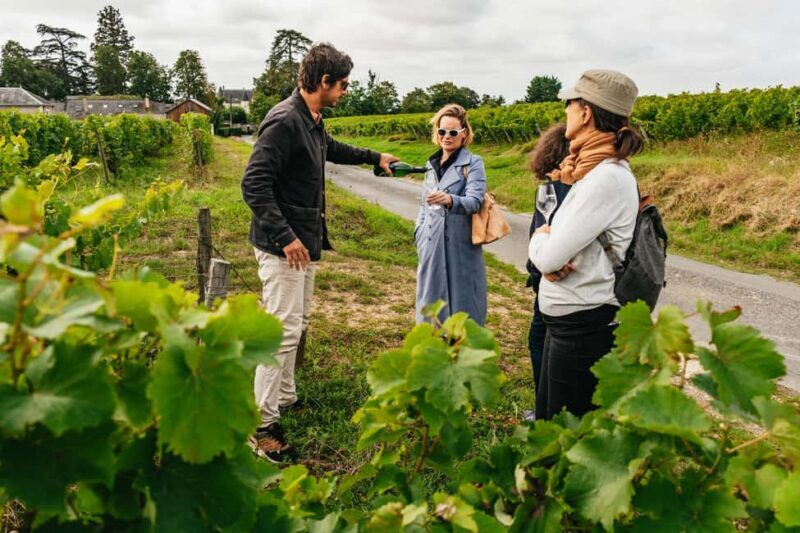 Paris: Loire Valley Chambord Castle, Wine Tasting & Lunch - Final Thoughts