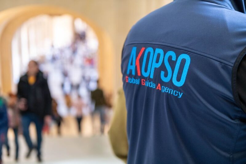 Paris: Louvre Masterpieces Private Tour with Reserved Entry - Detailed Review of the Tour Experience