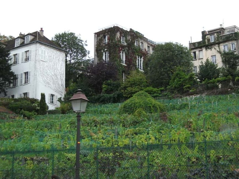 Paris: Montmartre Private Guided Walking Tour - A Closer Look at the Montmartre Experience