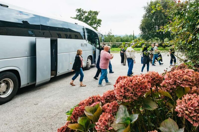 Paris: Normandy D-Day Sites Guided Day Trip with Lunch - Starting Point and Transportation Logistics
