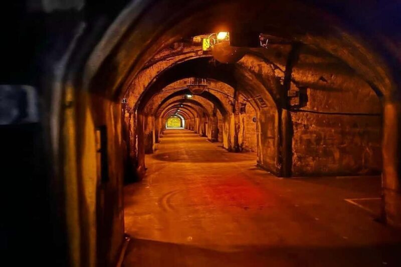 Paris: Private Champagne Tour  Picnic & Tasting + Gift - Key Points