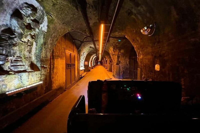 Paris: Private Champagne Tour  Picnic & Tasting + Gift - An Inside Look at the Experience