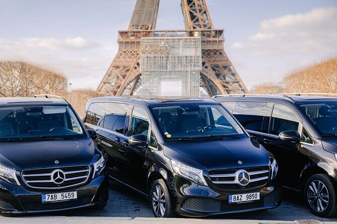 Paris Private City Tour Experience - The Transportation: Comfort & Practicality