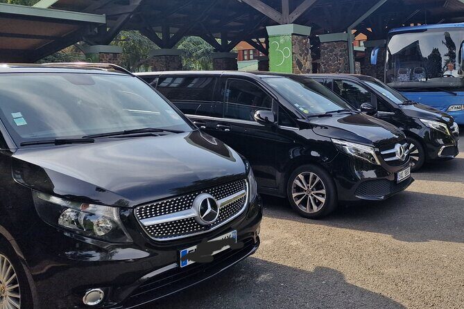 Paris Private City Tour Experience - What Do the Reviews Say?