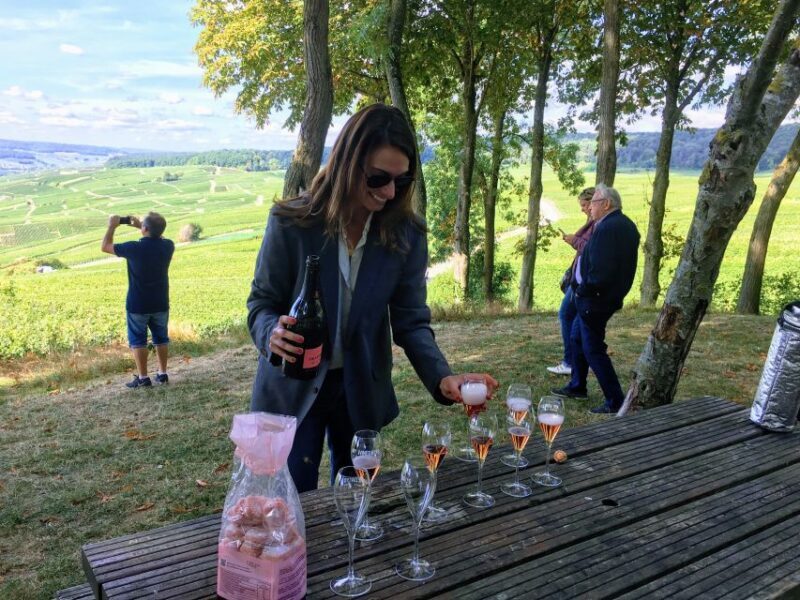Paris: Private Day Trip to Champagne with 8 Tastings & Lunch - Pricing and Value