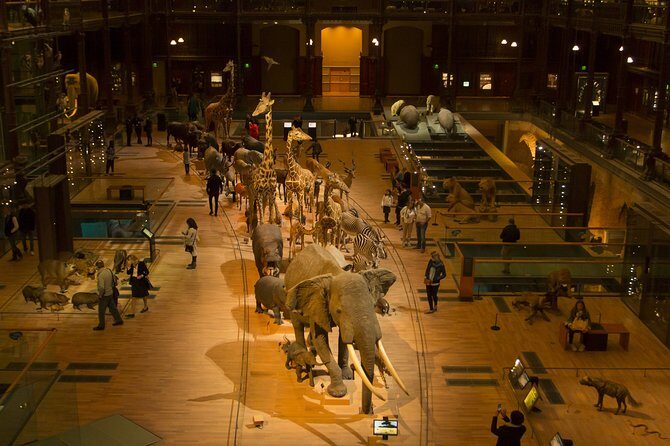 Paris Private Family Tour - City Highlights & the Best Museum for Kids - A Deep Dive into the Paris Private Family Tour Experience