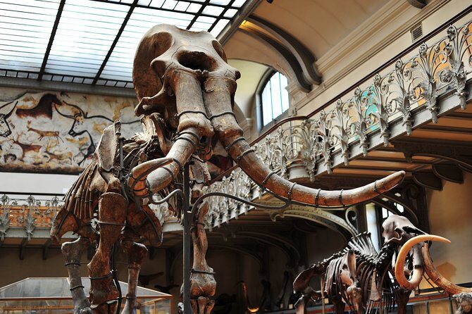 Paris Private Family Tour - City Highlights & the Best Museum for Kids - The Sum Up