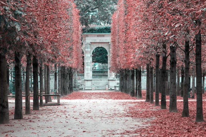 Paris: Private Full Day Tour-Louvre Sainte Chapelle Tickets - Analyzing the Price and Overall Value