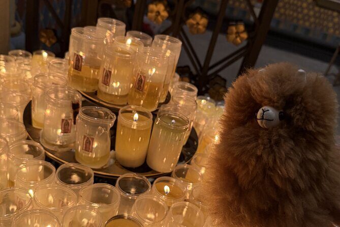 Paris Private Guided Walking Tour with Notre-Dame Outdoor - A Detailed Look at the Tour Experience