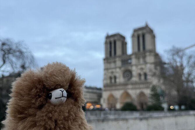 Paris Private Guided Walking Tour with Notre-Dame Outdoor - Who Is This Tour Best For?