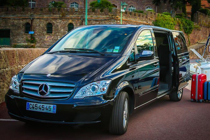 Paris Private Transfer Disneyland - Introduction