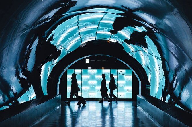 Paris Private transfer Orly Airport to Paris City - Key Points