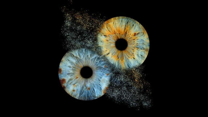 Paris Rivoli: Reveal the beauty of your iris with Iris Galerie - Why This Experience Offers Value