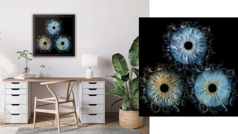 Paris Rivoli: Reveal the beauty of your iris with Iris Galerie - Who Should Consider This Tour?