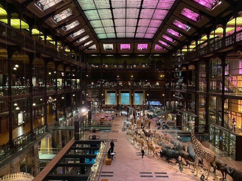 Paris: the Grande Galerie Ticket & Digital City Walk - Key Points