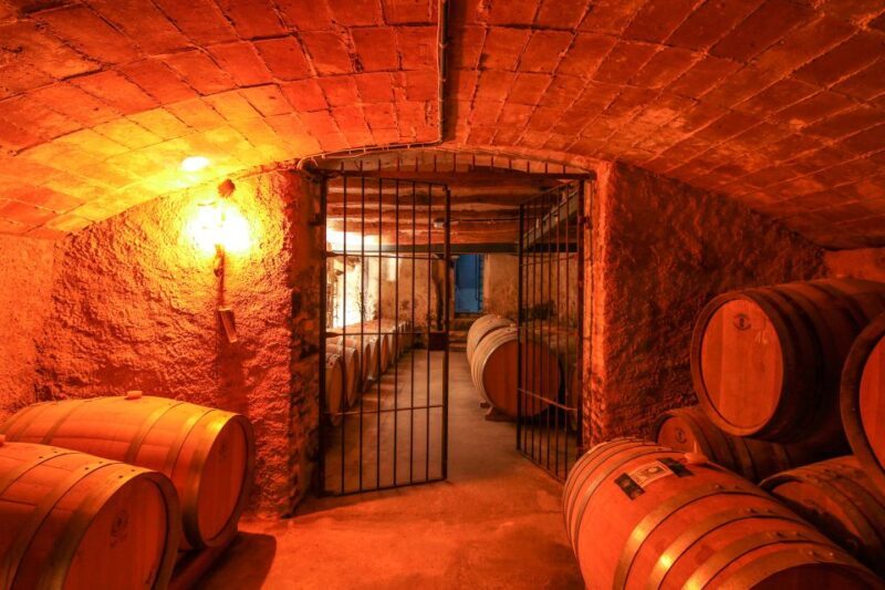 Paris: Two Reims Champagne Vineyards with Tastings and Lunch - Key Points