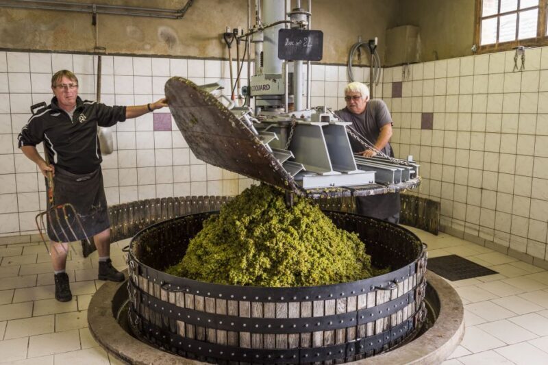 Paris: Two Reims Champagne Vineyards with Tastings and Lunch - Authentic Experiences and Special Touches