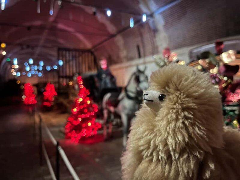 Paris: Vaux-le-Vicomte Private Guided Tour - A Closer Look at the Experience