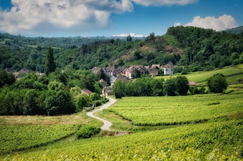 Paris VIP: Burgundy Wine Region Chauffeur Driven Tour 14 hrs - Who Is This Tour Best For?