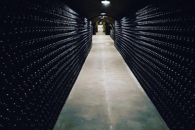 Paris Wine Day Tours exclusive Champagne tour incl. 3 visits - Practical Tips for Travelers