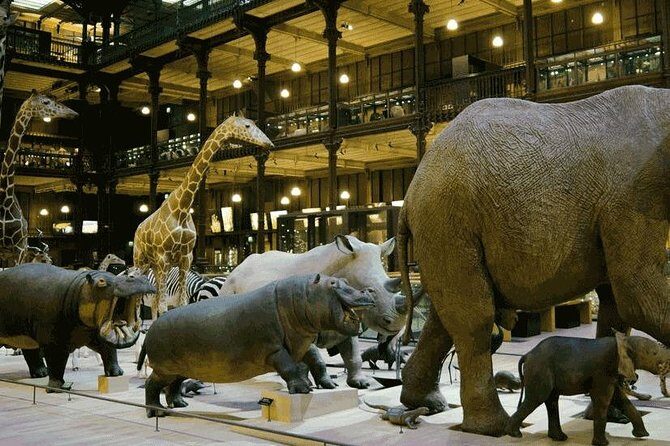 Paris with Kids Custom and Private Half-Day Tour - Authentic Experiences and Hidden Gems