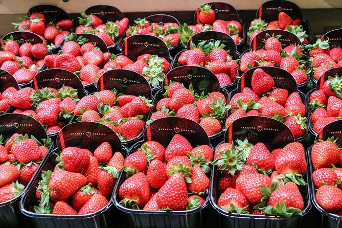 Parisian Happy Hour Food Tour with a Small Group - FAQs