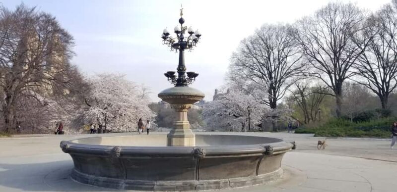 Parisian New York walking tour - A Deep Dive into the Parisian New York Walking Experience