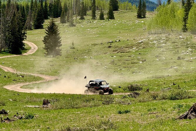 Park City ATV and UTV Rentals (4 Seater RZR) - Who Should Consider This Experience?