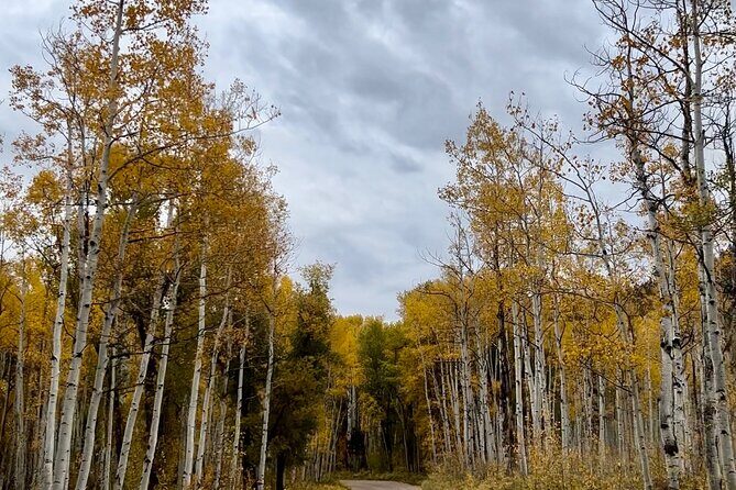 Park City: Family Friendly Xpedition Adventure - Frequently Asked Questions