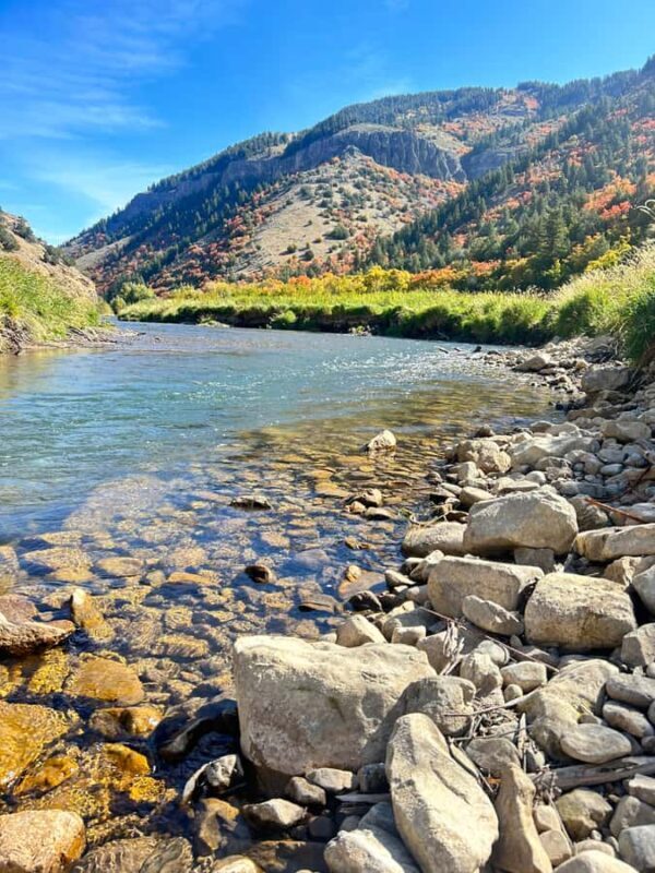 Park City: Guided Fly Fishing on Provo & Weber Rivers - Key Points