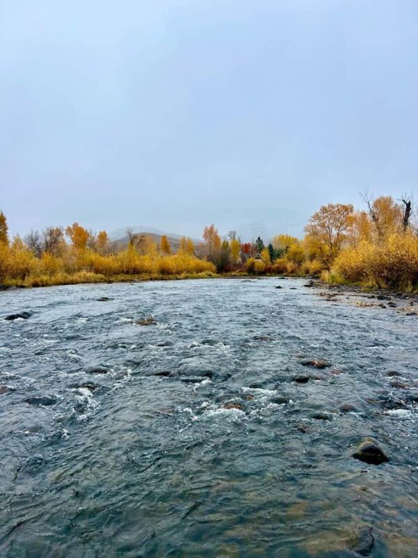 Park City: Guided Fly Fishing on Provo & Weber Rivers - Meeting and Preparation
